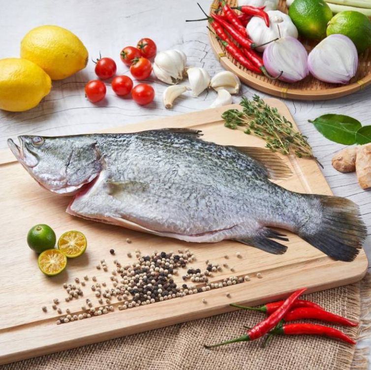 新鲜整金目鲈鱼（杀净）FRESH SEABASS