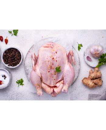 老母鸡 A OLD HEN CHICKEN