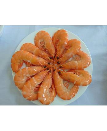 J美人虾 COOKED VANNAMEI CHOSO(1KG*10BOX/CTN)