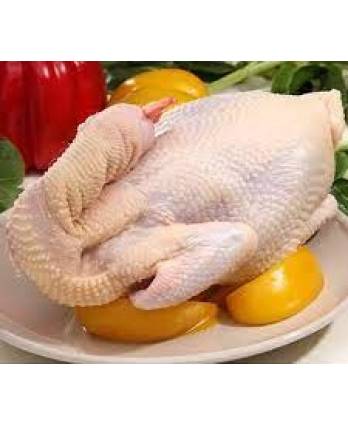 童子鸡/全鸡 WHOLE CHICKEN