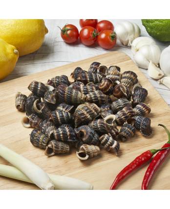 冻钉螺剪尾 FRZ SIPUT SEDUT CUT TAIL(1KG/PKT)