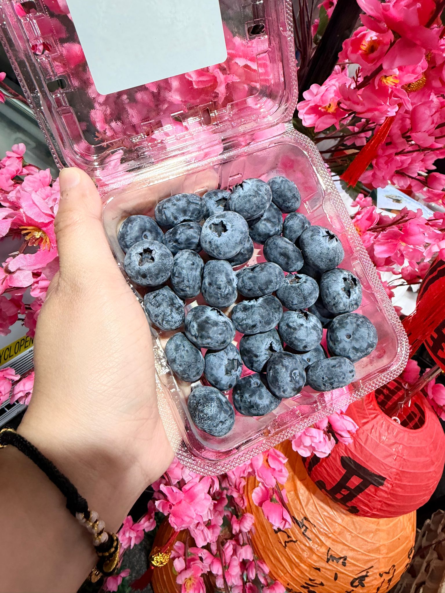 云南果香蓝莓 YUN NAN BLUEBERRY (125G)