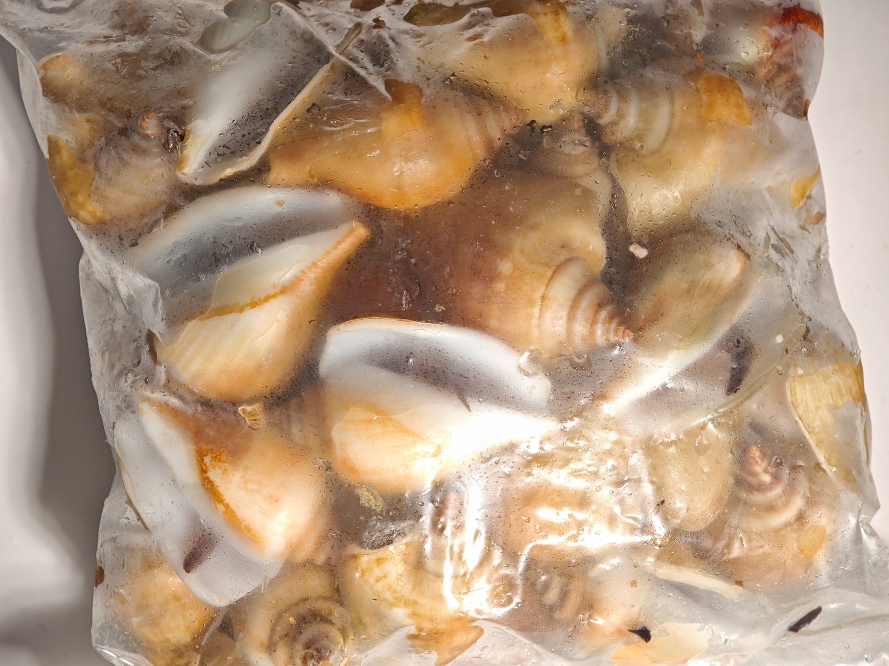 冻红贡贡 FRZ RED GONG GONG(15KG/CTN)