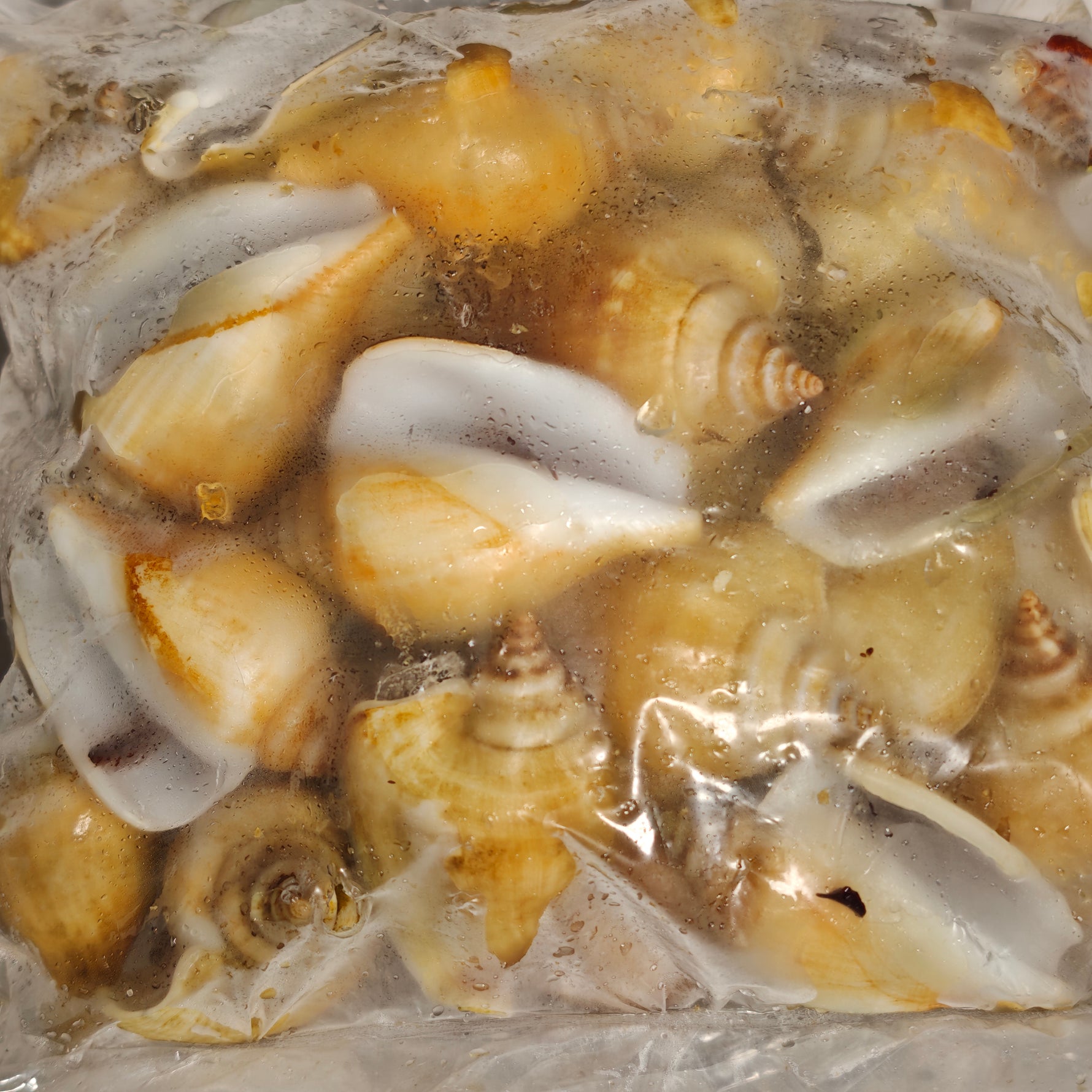 冻红贡贡 FRZ RED GONG GONG(15KG/CTN)