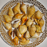 冻红贡贡 FRZ RED GONG GONG(15KG/CTN)