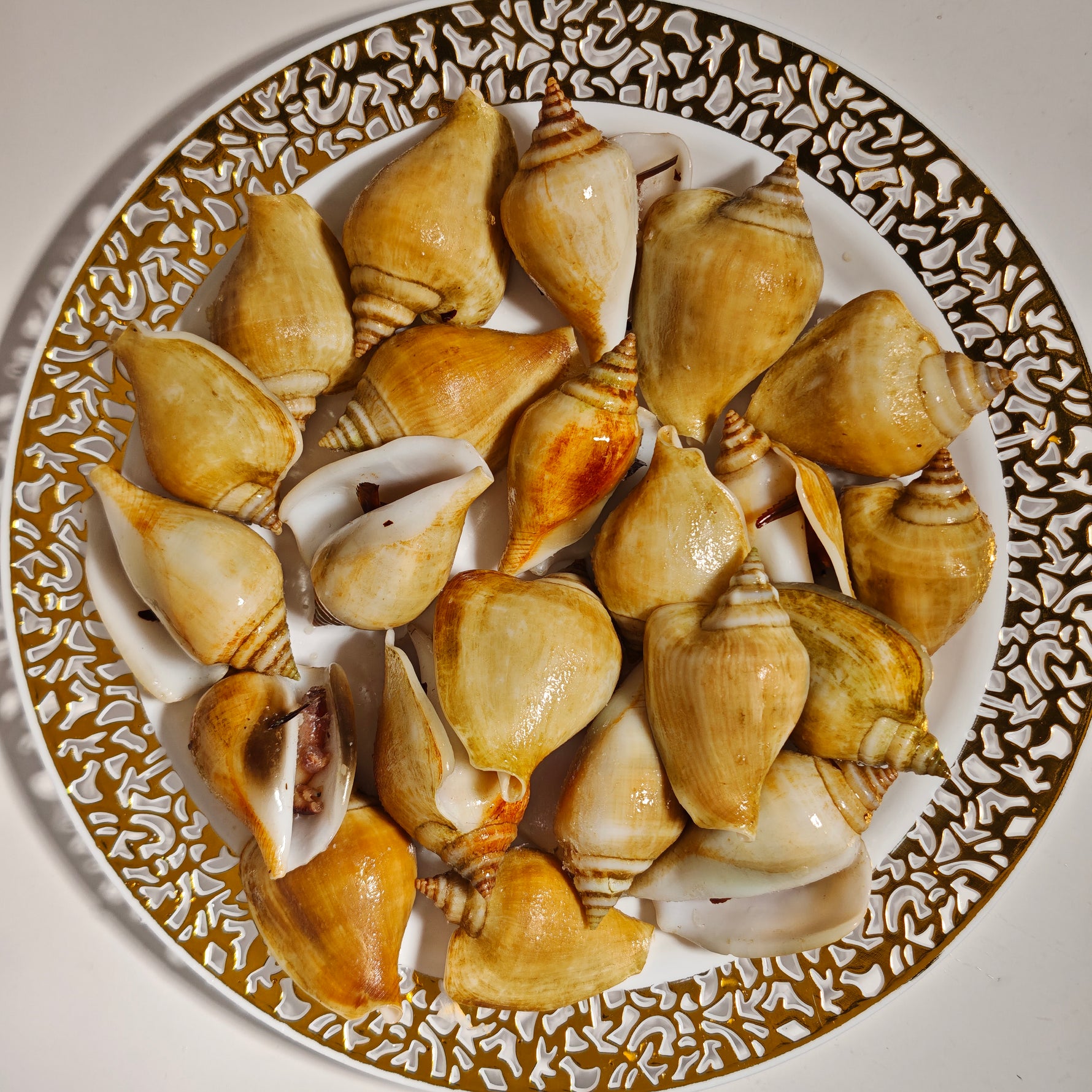 冻红贡贡 FRZ RED GONG GONG(15KG/CTN)