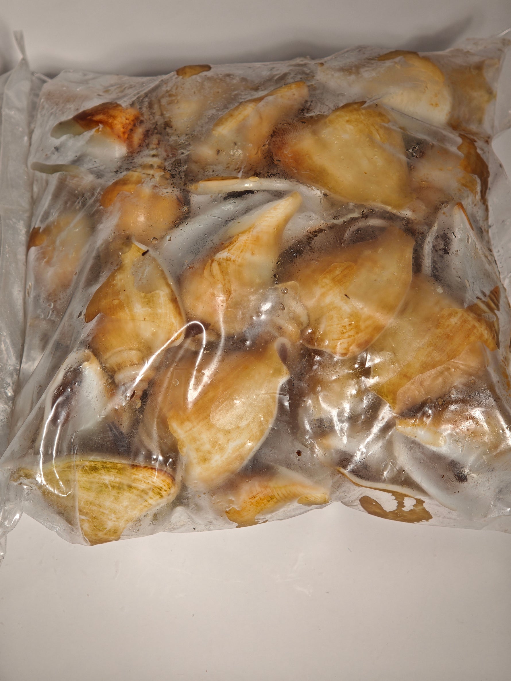 冻红贡贡 FRZ RED GONG GONG(15KG/CTN)