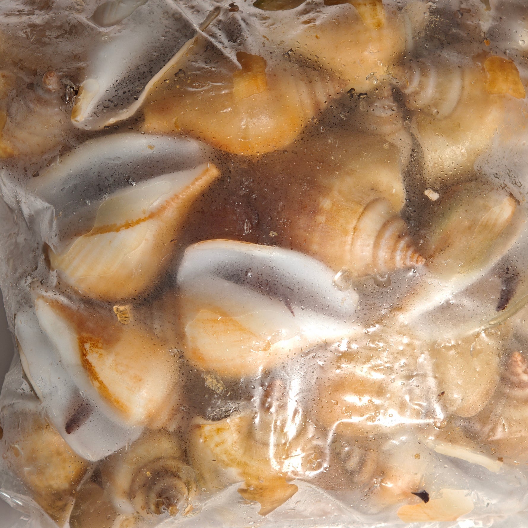 冻红贡贡 FRZ RED GONG GONG(15KG/CTN)