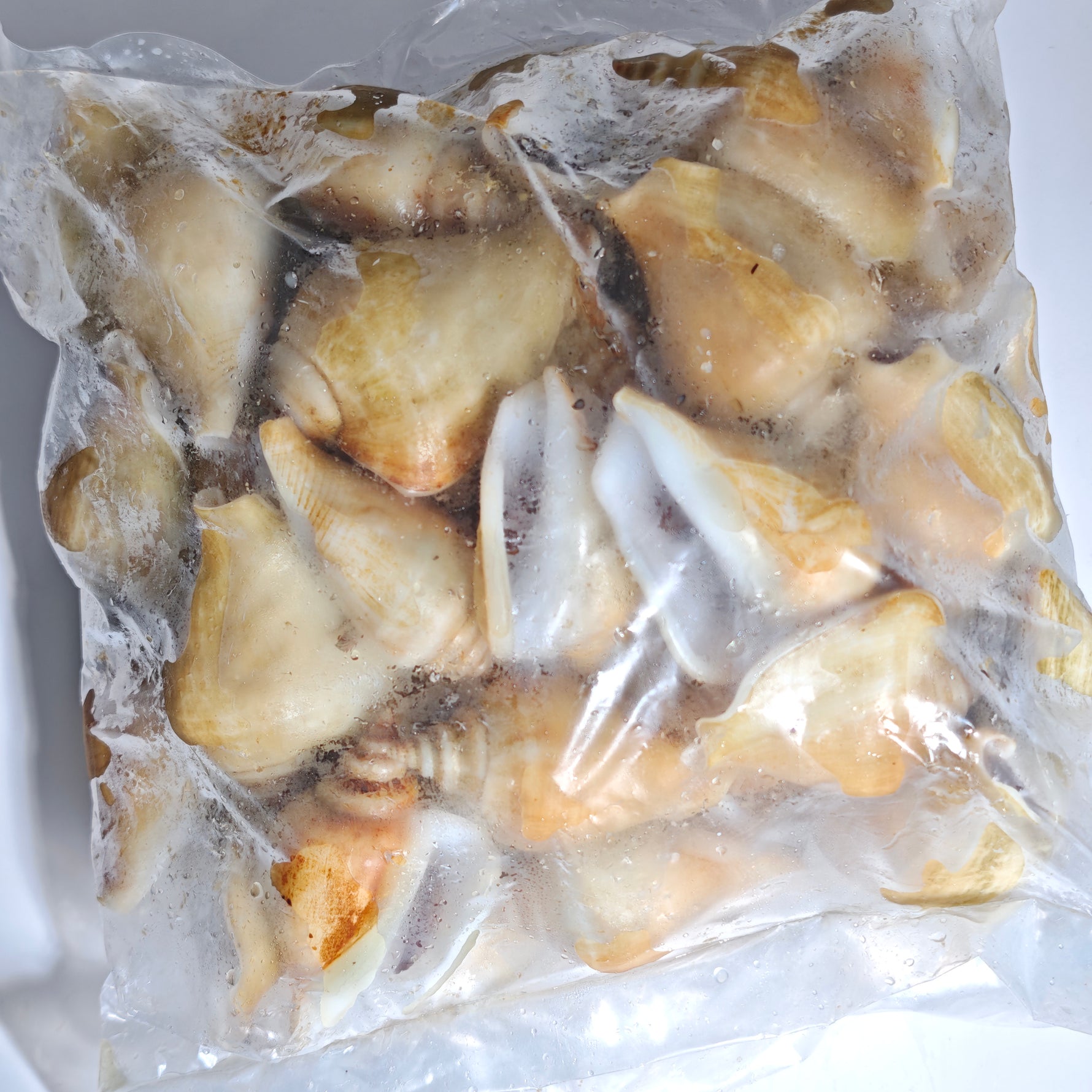 冻红贡贡 FRZ RED GONG GONG(15KG/CTN)