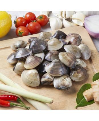 新鲜啦啦 FRESH LALA/ KAPAL (1KG/PKT)