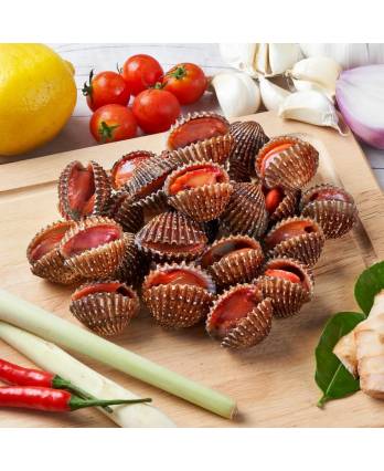 新鲜蛤粒 FRESH COCKLES (AIR FLIGHT)