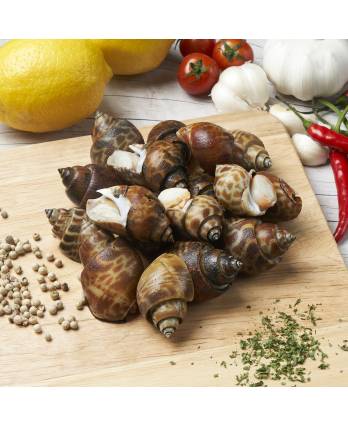 马老虎螺 FRZ TIGER TOPSHELL COOKED(12PKT/CTN) 1KG