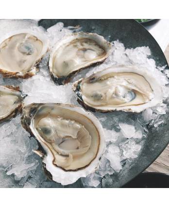 冻生蚝 FRZ  OYSTER （12PCS/PKT)