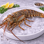 巴西大龙虾  LOBSTER 700/800 FZ BR