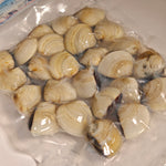 越白啦啦_甲巴 WHITE WHOLE 40/60 (500G/PKT)